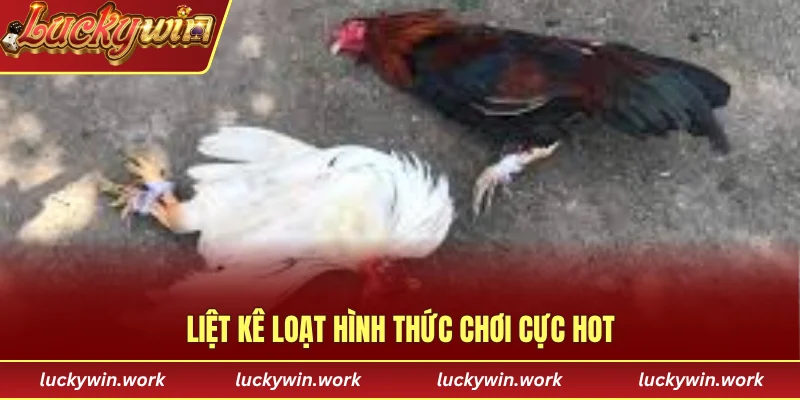 Liệt kê loạt hình thức chơi cực HOT